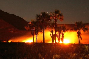 Incendios en Gran Sabana han afectado 6 mil hectáreas