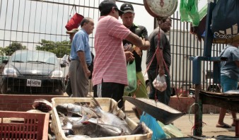 Precio del pescado no termina de bajar en los mercados