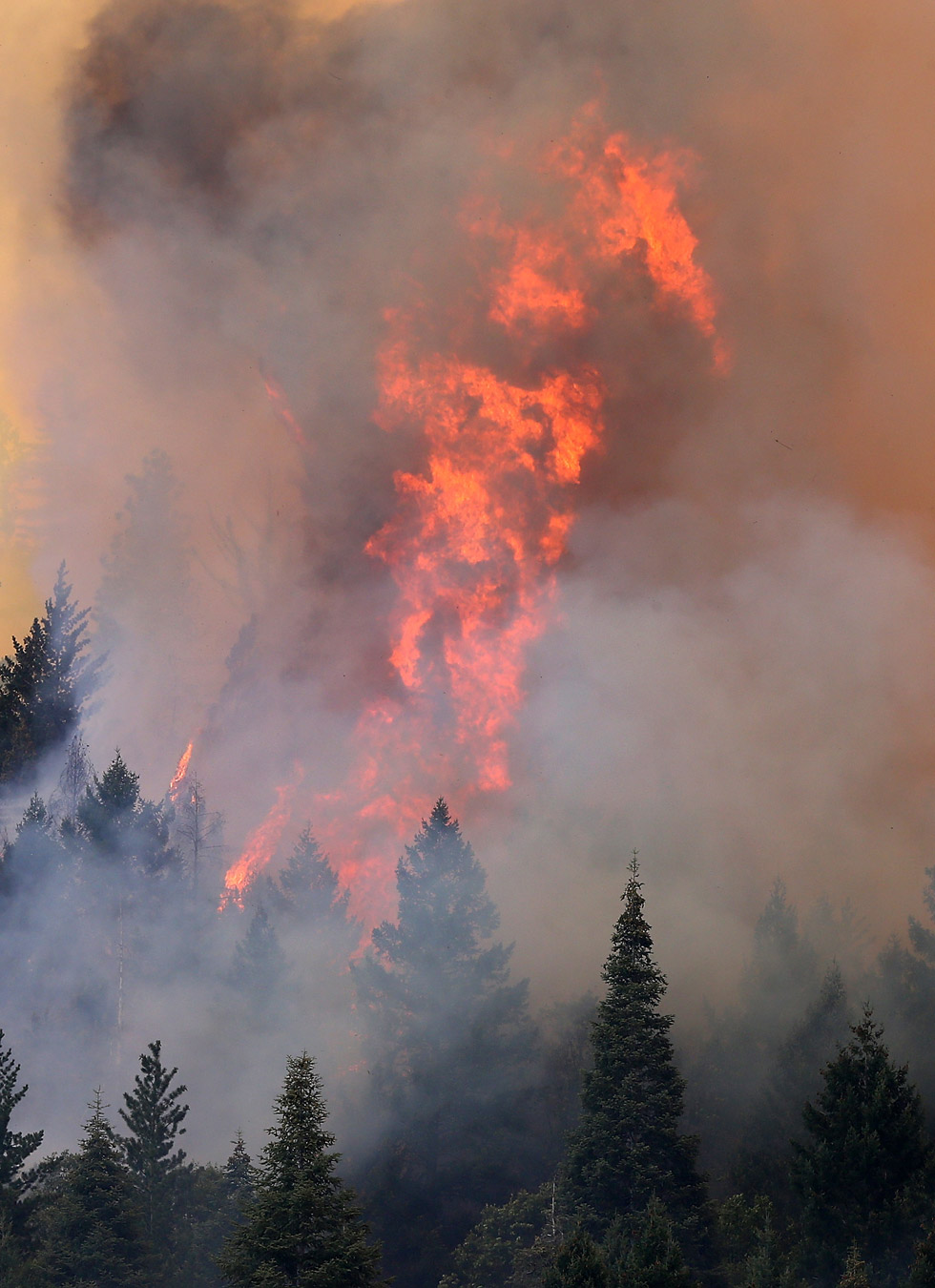 Incendio en California ha devastado más de 65 mil hectáreas