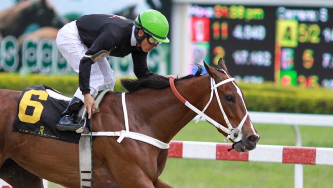 Indomable galopó la Copa Gran Estefanía