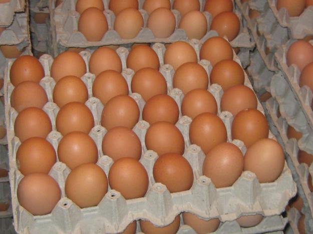 Empresa maracucha da un cartón de huevos semanal como “bono” de asistencia