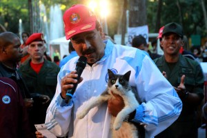 Maduro adoptó un gato