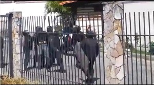 Fuerza pública grita a manifestantes: “Se los van a coger en el retén” (VIDEO)