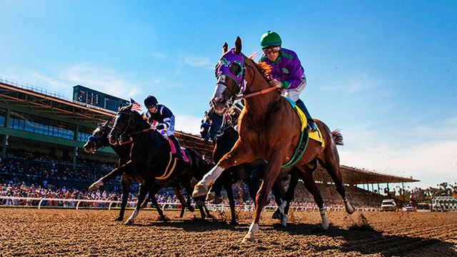 California Chrome ganó el Preakness Stakes