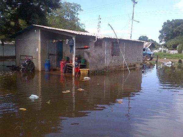 Crecida del río Meta mantiene inundada las principales calles de Puerto Páez en Apure (Fotos)