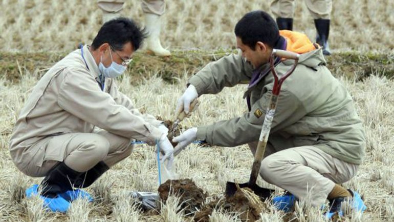 Japón reanudará las exportaciones de arroz de Fukushima