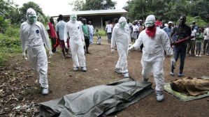 ¿Qué es el virus ébola?