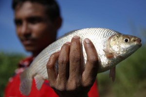Contrabandear pescado: Una nueva forma de sobrevivir en Venezuela (Fotos)