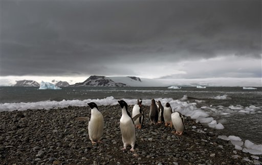 Espesor del hielo en la Antártida se redujo casi 20% entre 1994 y 2012