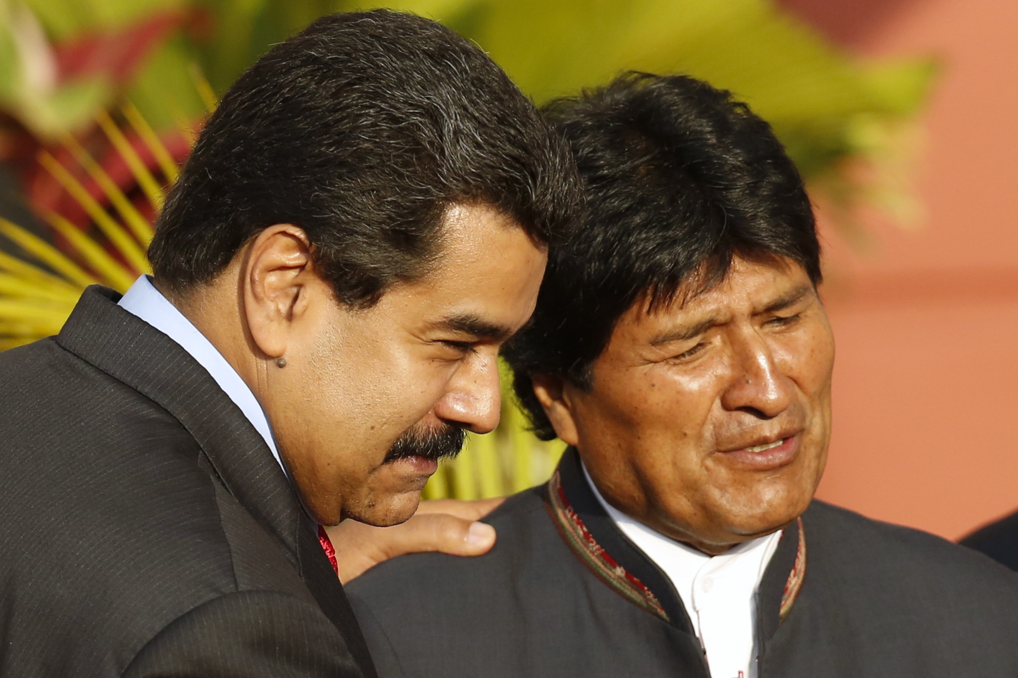 Evo Morales, decidido a transformarse en otro Nicolás Maduro