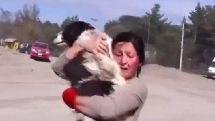 ¡Hermoso! Encuentro entre una mujer y su perro tras la erupción del volcán Calbuco (Video)