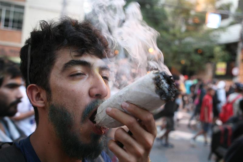 Miles de personas exigen la legalización de la marihuana en Brasil (Fotos)