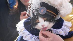 Muere Tama, la famosa gata que fue nombrada jefa de estación en Japón