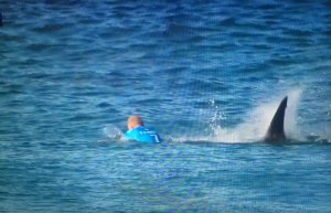 Impactantes imágenes del ataque de un tiburón a surfista transmitidas en vivo por TV