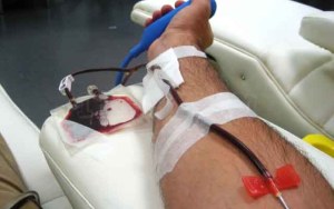 Francia permitirá a los homosexuales donar sangre a partir de 2016