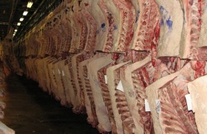 Sundde oficializa precios para la carne de cerdo