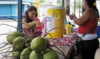 El agua de coco se volvió un lujo para el bolsillo de los habitantes de El Tigre
