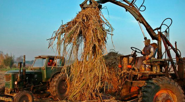 (foto visionagropecuaria.com)