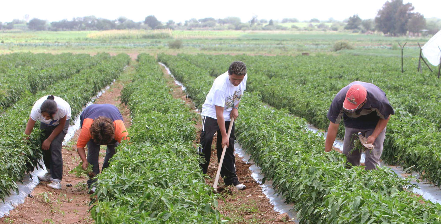 Fedeagro solicita salvoconducto en la dotación de combustible para trasladar alimentos