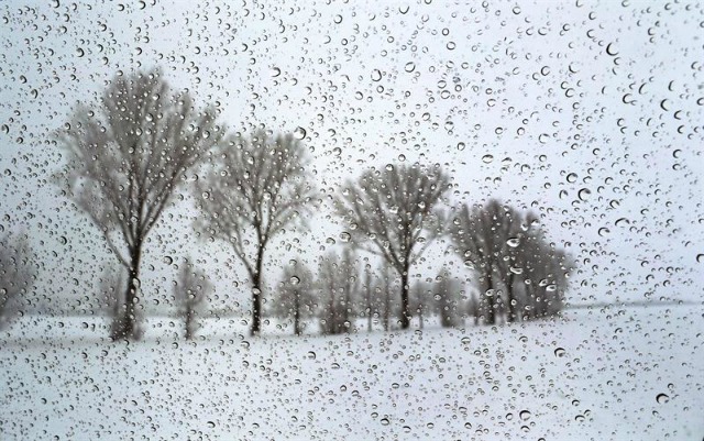 Varios árboles en medio de un paisaje nevado en una foto tomada a través de un cristal cubierto de gotas de lluvia cerca de Germaringen (Alemania) hoy, 25 de febrero de 2016. EFE/Karl-Josef Hildenbrand