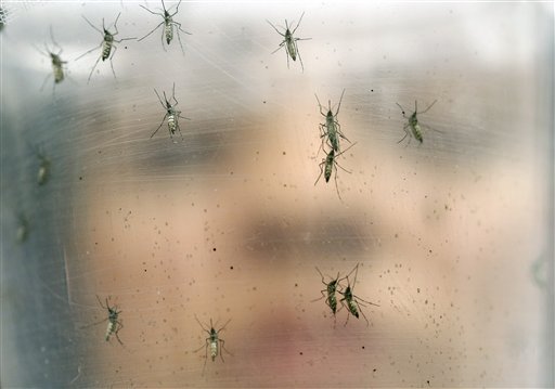 Colombia investiga si 41 casos de microcefalia tienen relación con el zika