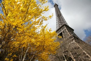 París instalará un muro de cristal antibalas en la Torre Eiffel para reforzar seguridad