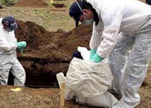 México prepara fase 2 para exhumar fosa que tenía restos de unas 100 personas