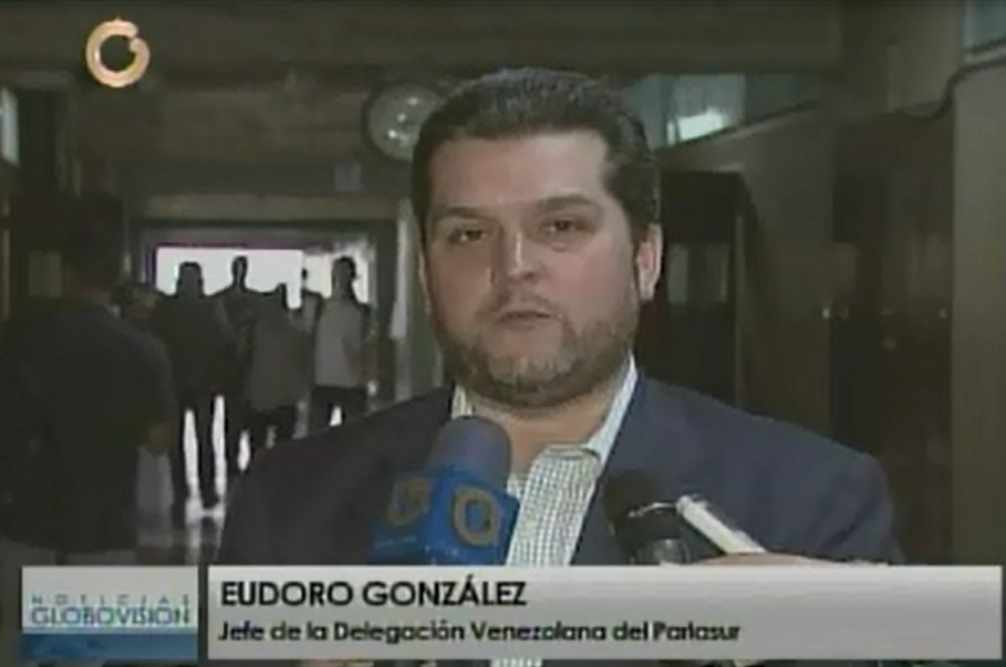 Eudoro González: Venezuela no puede asumir el Mercosur con el peso de la crisis en su equipaje
