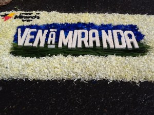 Turismo Miranda dijo presente en la alfombra de flores en Araira