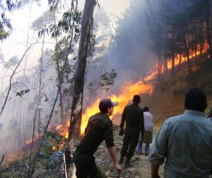 La Amazonía sigue ardiendo antes de la reunión de la ONU