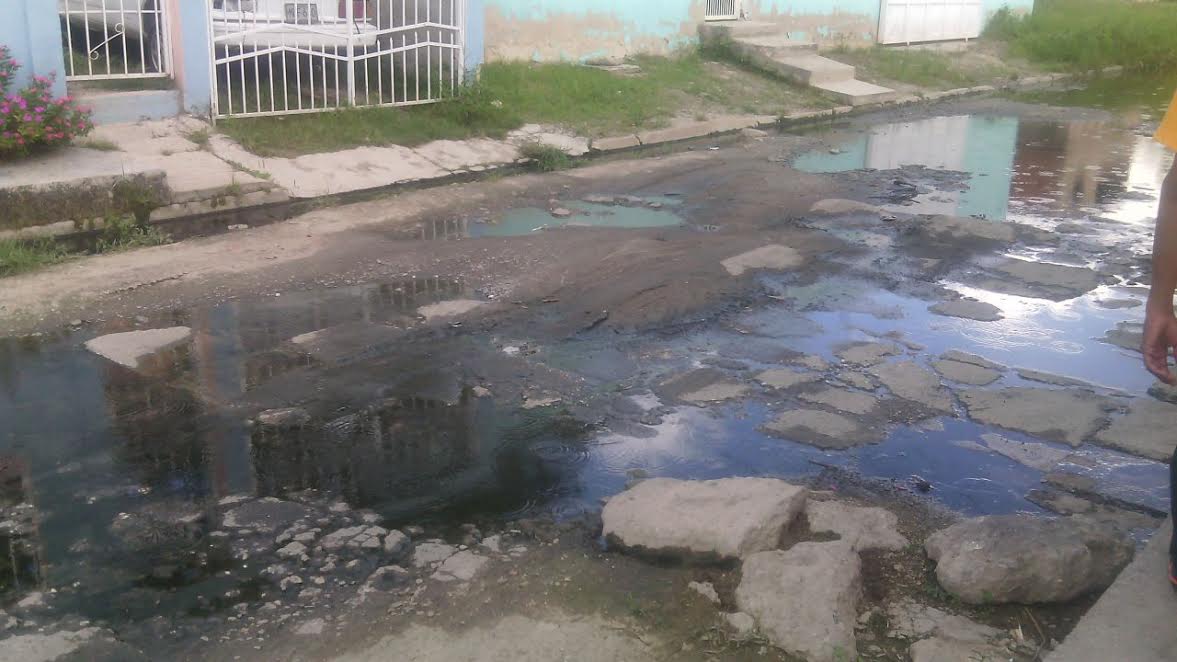 El clamor de una abuelita en Lara que vive entre aguas servidas (Video)