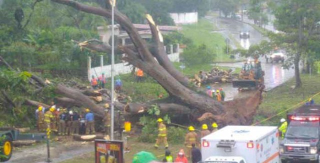 Foto: Panamamerica.com.pa