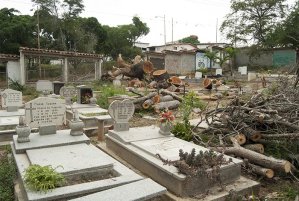 Cementerio Santa Rosa en Lara: entre el abandono y la santería