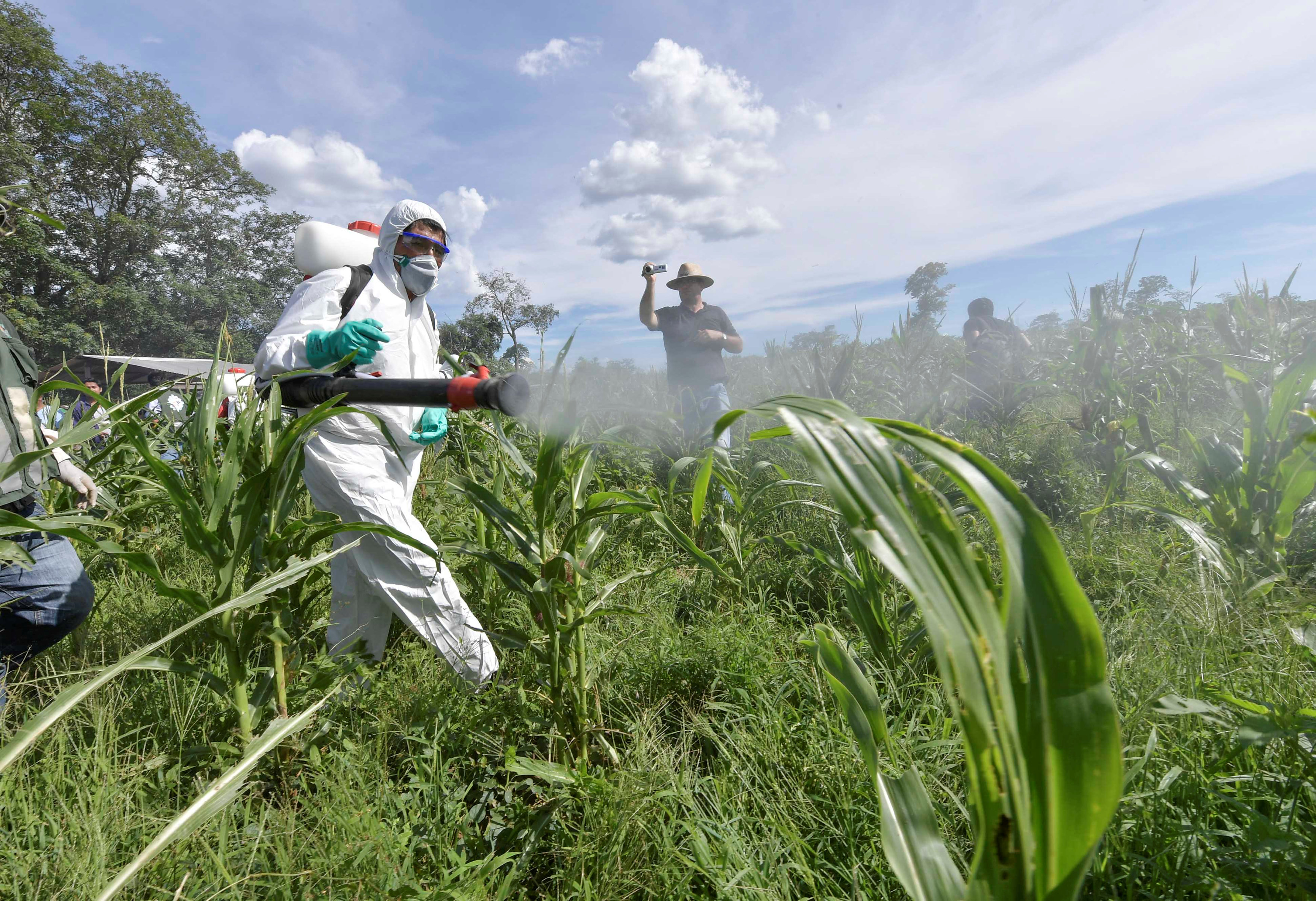 Evo Morales quiere legalizar coca en el mundo, tras ampliar cultivos en Bolivia