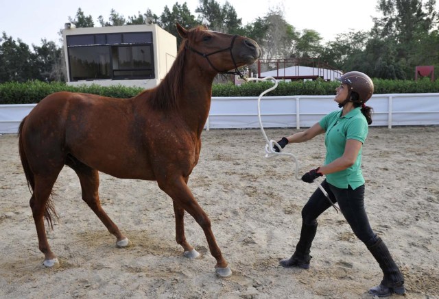 Saudi Dana al-Gosaibi trains a horse on March 1, 2017, in the Red Sea city of Jeddah. The 35-year-old Saudi horse trainer dreams of opening her own stables to focus on "a more gentle" way of training horses than the standard approach in the male-dominated kingdom. / AFP PHOTO / Amer HILABI