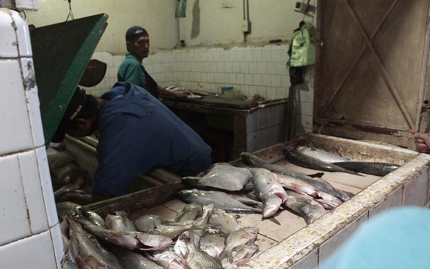 Si vas pendiente de un pescadito se te quitarán las ganas cuando veas su nuevo precio SUSTO (+Fotos)