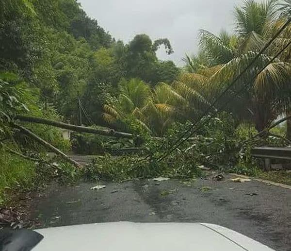 El desesperado mensaje del primer ministro de Dominica por el paso del huracán María