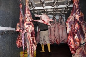 A 100 mil bolívares pudiera llegar en los próximos días el kilo de carne en Táchira