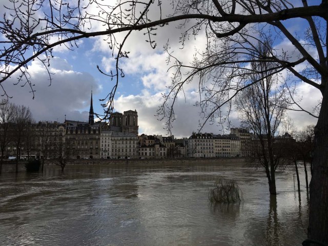 General view of the Seine River, with the Notre Dame Cathedral in the background, that overflows its banks as heavy rains throughout the country have caused flooding, in Paris, France, January 26, 2018. REUTERS/Sandra Auger