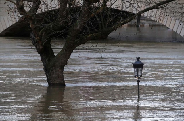 A street lamp and a tree are seen on the flooded banks of the River Seine in Paris, France, after days of almost non-stop rain caused flooding in the country, January 26, 2018. REUTERS/Christian Hartmann