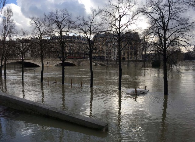 General view of the Seine River that overflows its banks as heavy rains throughout the country have caused flooding, in Paris, France, January 26, 2018. REUTERS/Sandra Auger