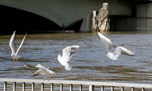 Seagulls fly above a barrier near the Zouave soldier statue under the Pont d'Alma as the Seine River overflows its banks as heavy rains throughout the country have caused flooding, in Paris, France, January 26, 2018. REUTERS/Pascal Rossignol