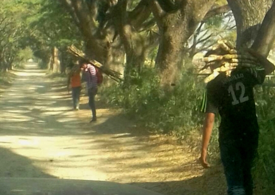 Saquean una central azucarera en Aragua (Fotos y video)