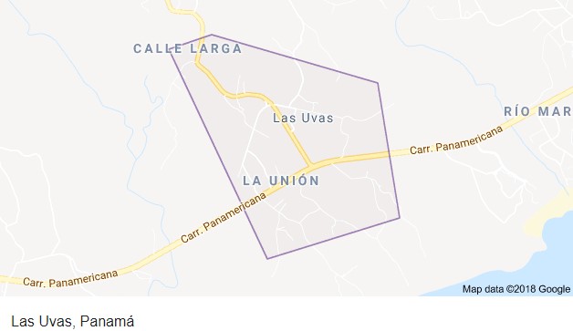 las_uvas_panama