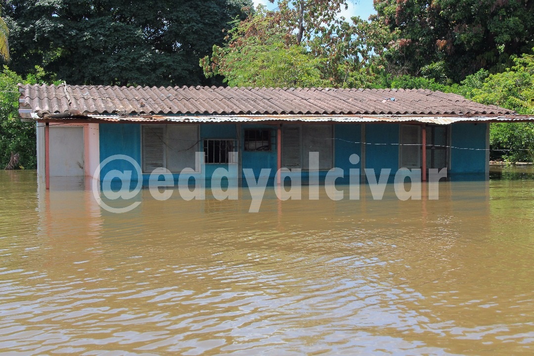 Exhortan al Ejecutivo para que atienda a las familias afectadas por crecida del río Orinoco