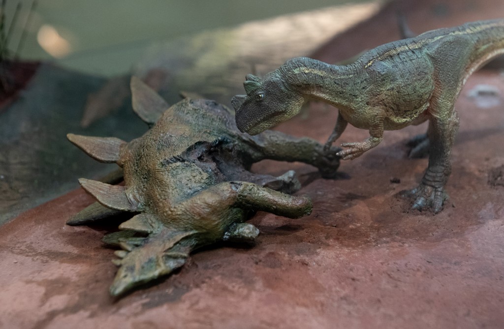 EN FOTOS: Descubren una nueva especie de dinosaurio en Brasil que vivió hace 115 millones de años