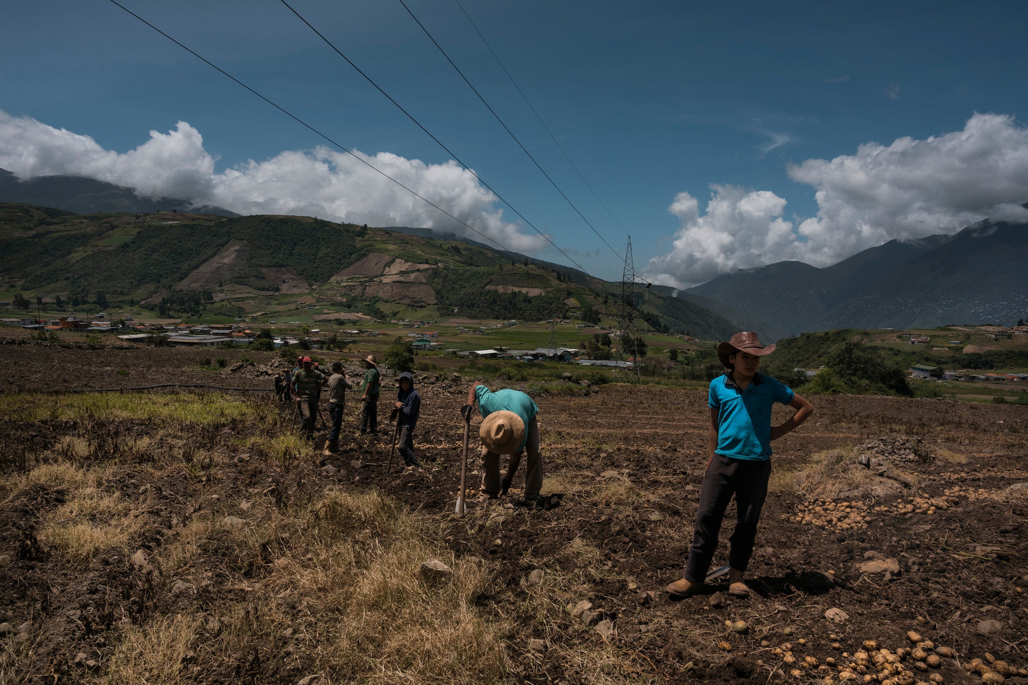 Falta de fertilizantes por invasión en Ucrania lleva a Latinoamérica a buscar alternativas