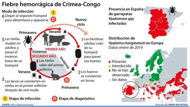 La garrapata que transmite un virus hemorrágico se extiende por Europa