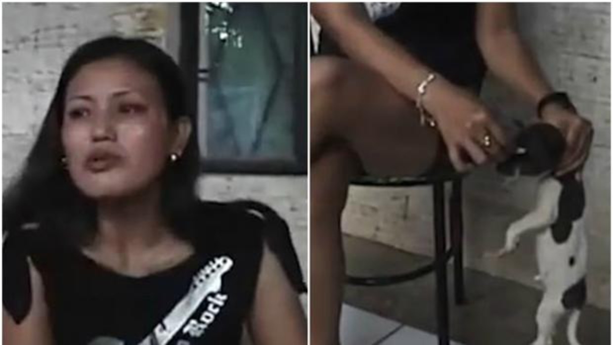 ¡TERRIBLE!… Mujer apaga un cigarro en los ojos de un cachorro y lo graba para una red de “fetichistas del maltrato animal”