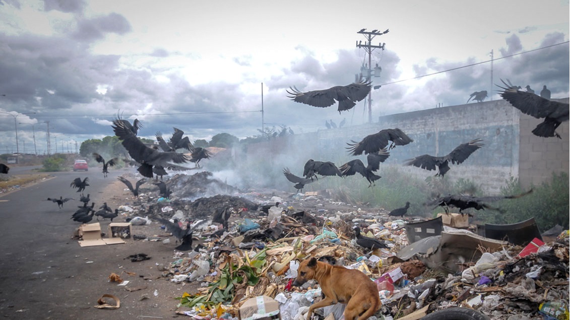 “Con la basura hasta el cuello”: Así viven en el Core 8 de Puerto Ordaz durante la cuarentena